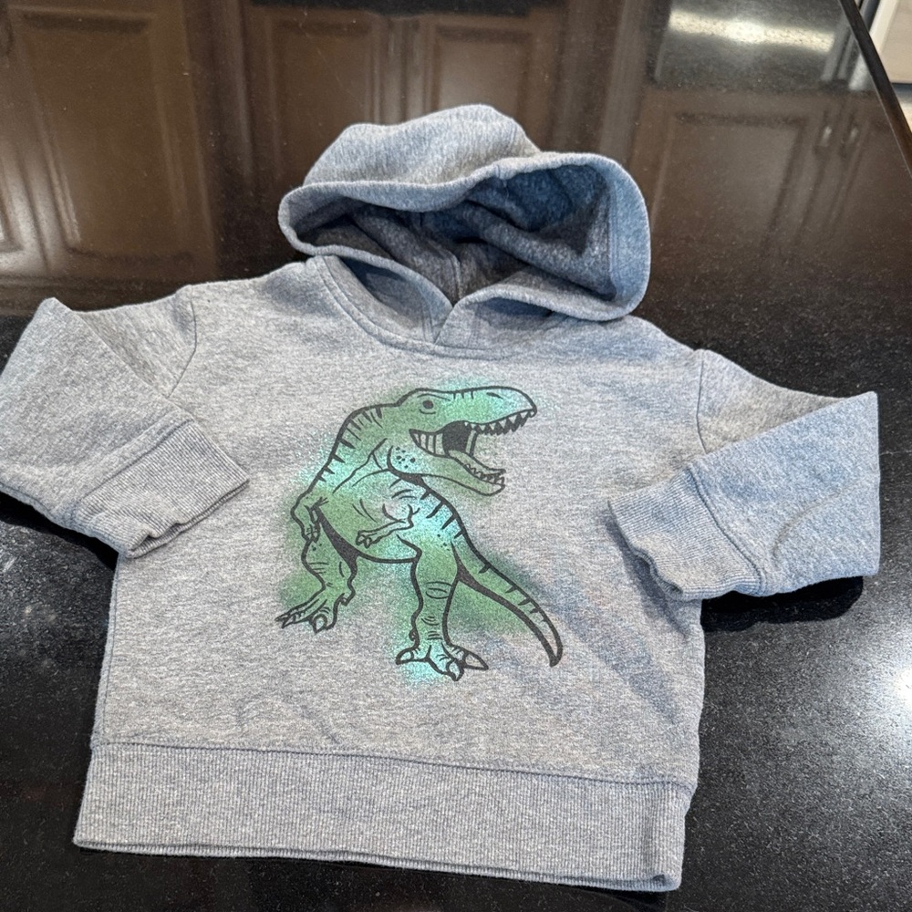 Jumping Beans Gray Hoodie with Green Dinosaur